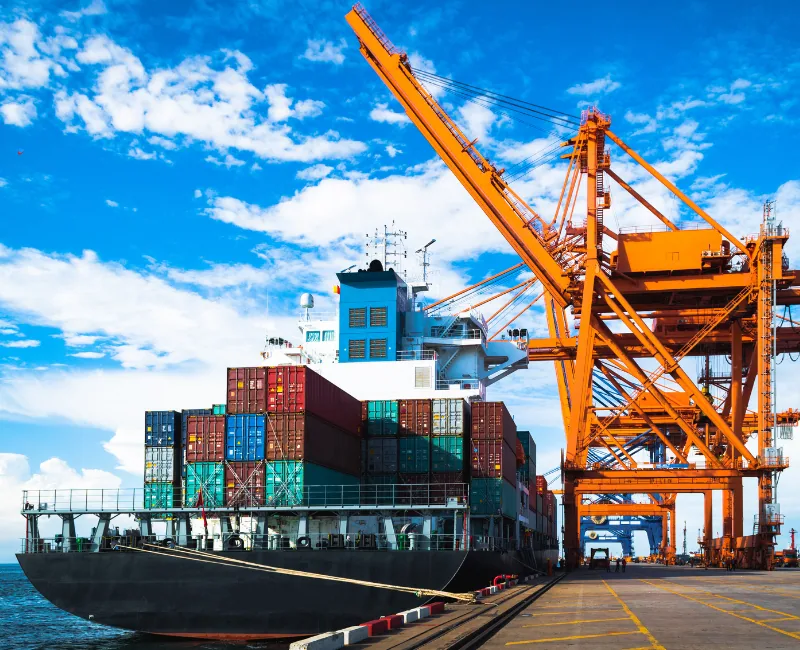 SeaLead Express cargo and logistics operations
